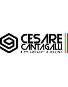 i-99 Cesare Cantagalli Segel